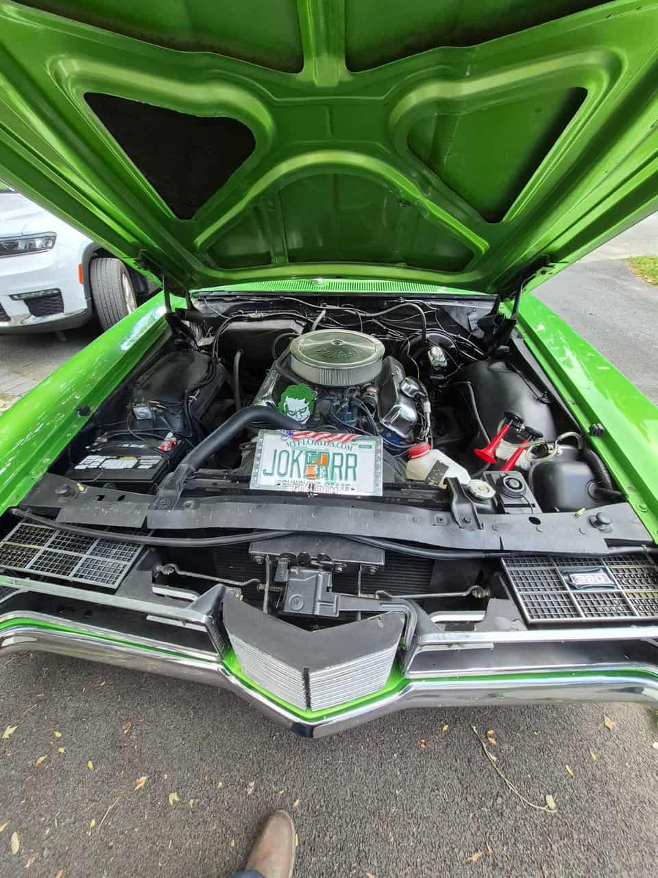 Image 4