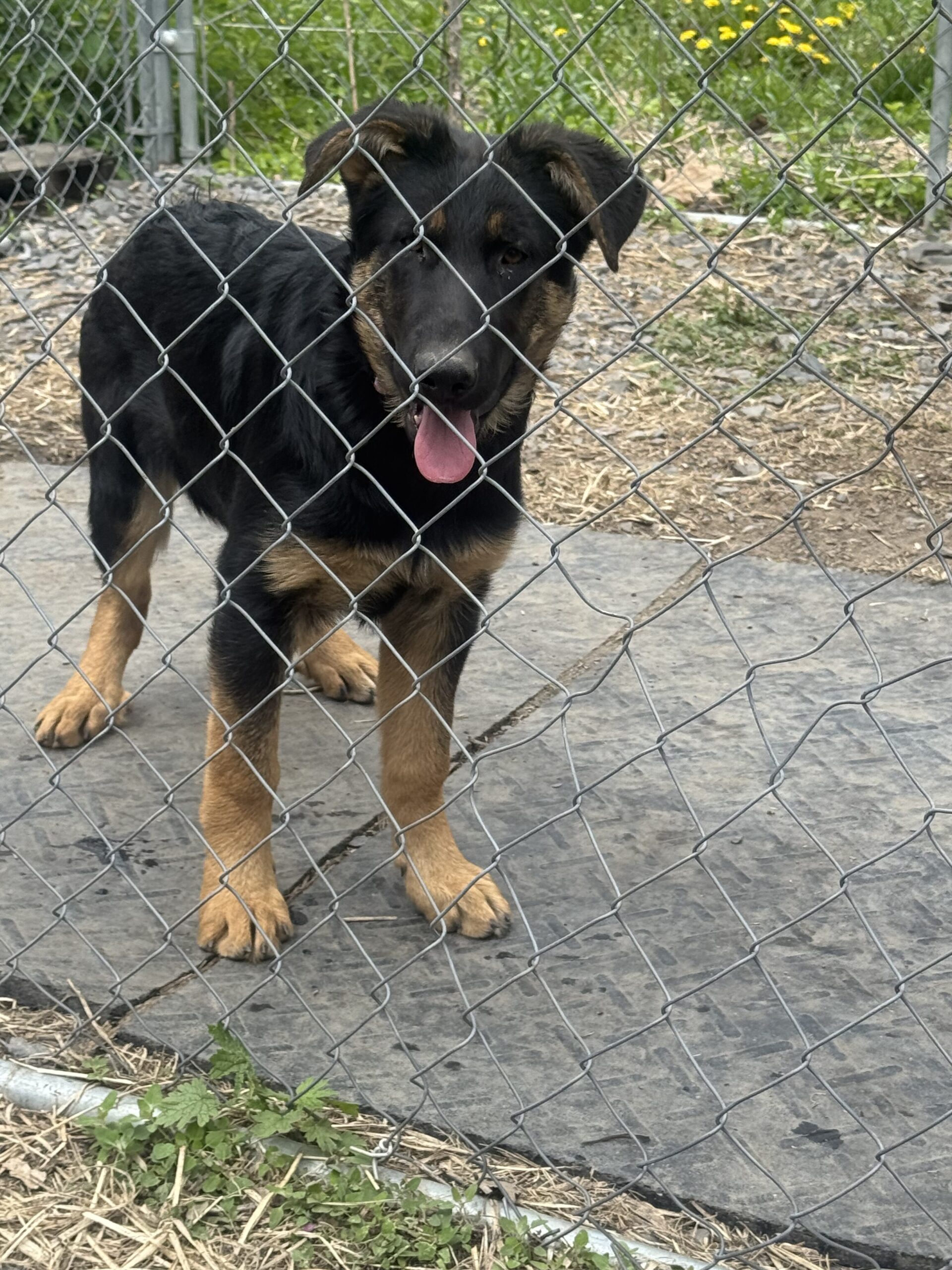 Image 9