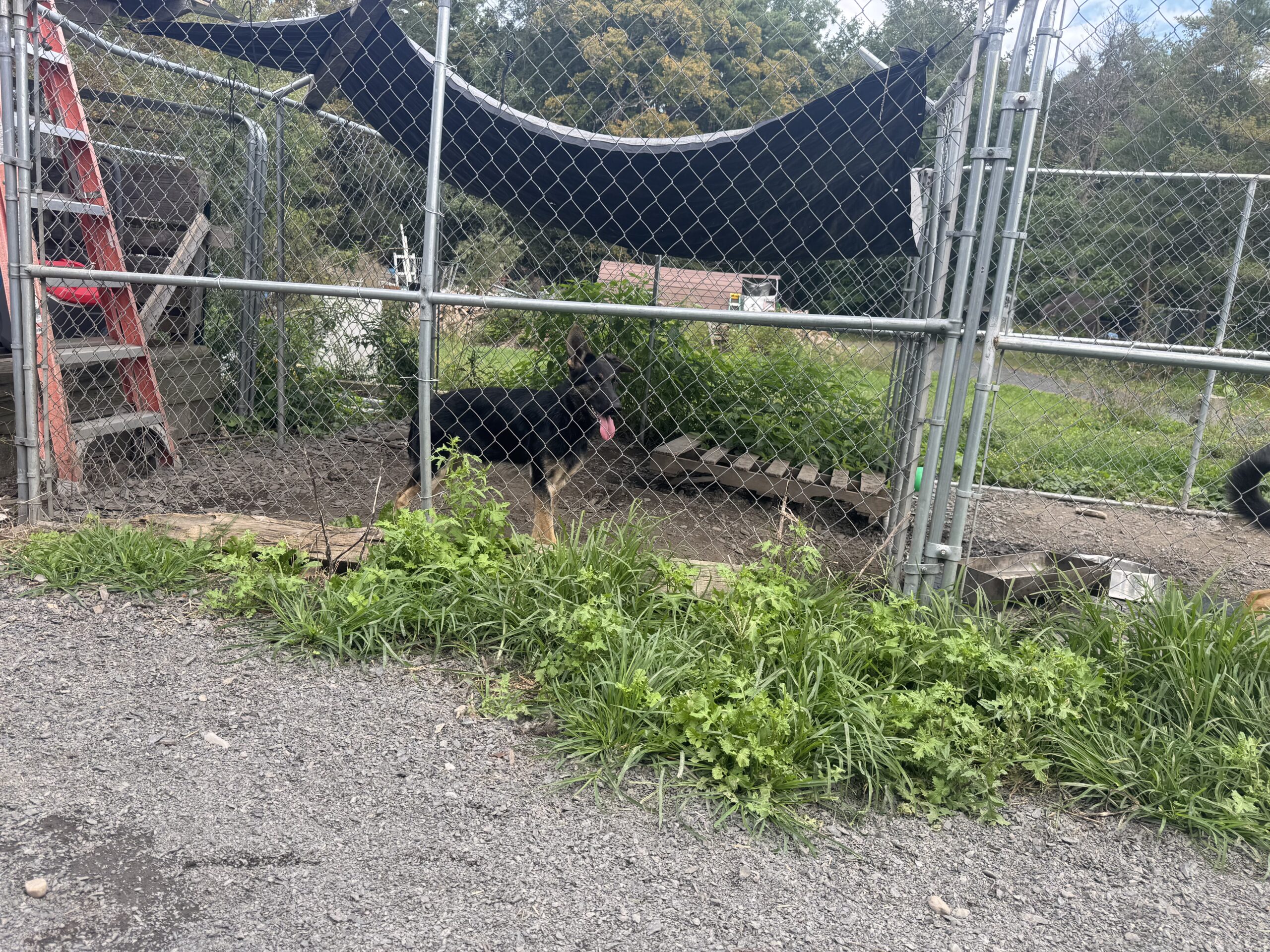 Image 6