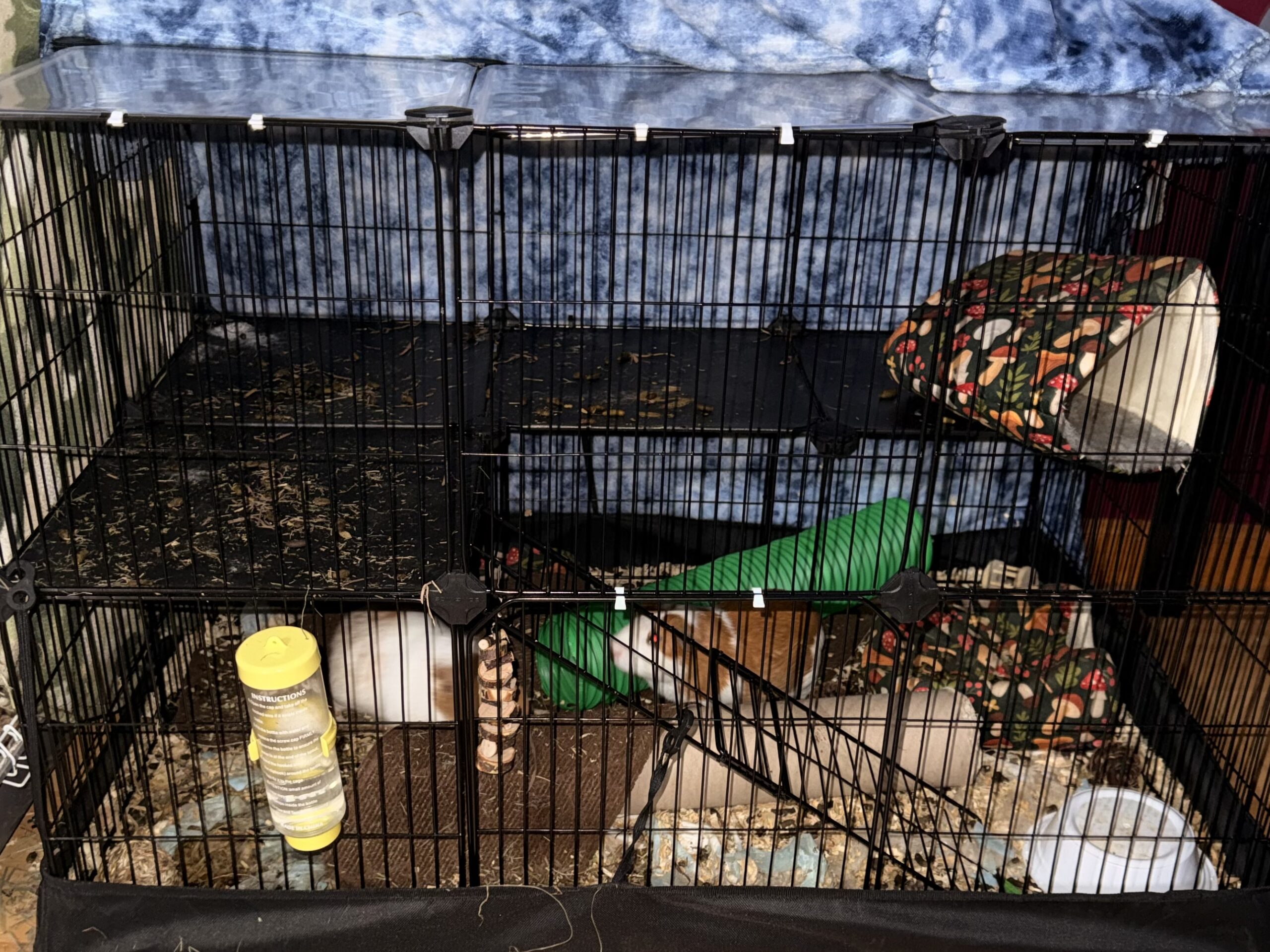 Image 2