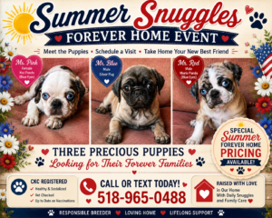 penny pups summer event want ad