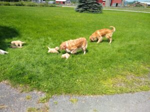 IMG_20210728_120849040
