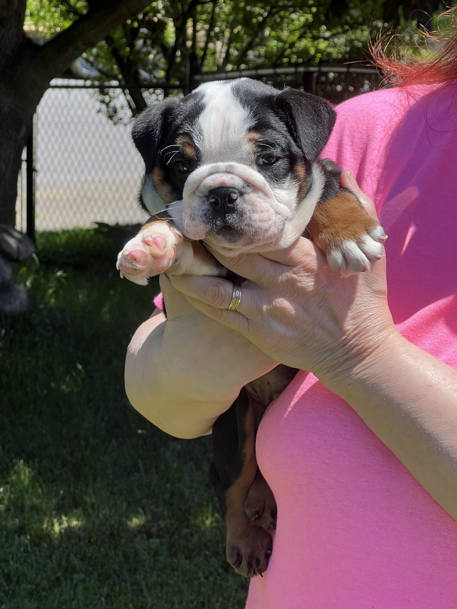 Image 8