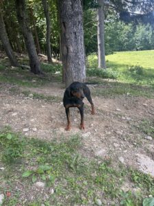 IMG_0170