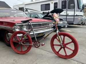 IMG_1421_copy1_lg-1